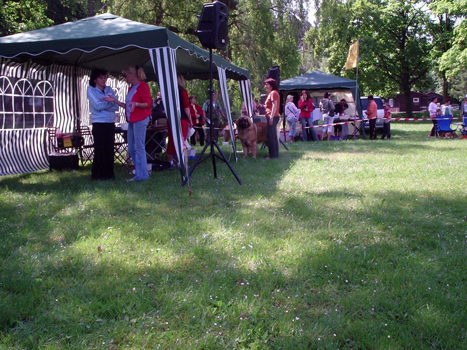 smečka 004.JPG